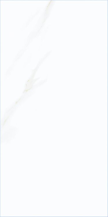 Time Cielo Matte 12 x 24